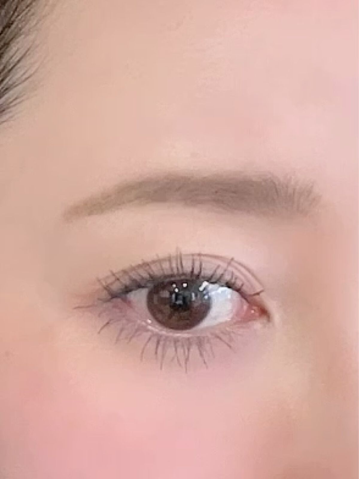 エテュセ アイエディション（マスカラベース）LE/ettusais/マスカラ下地を使ったクチコミ（3枚目）