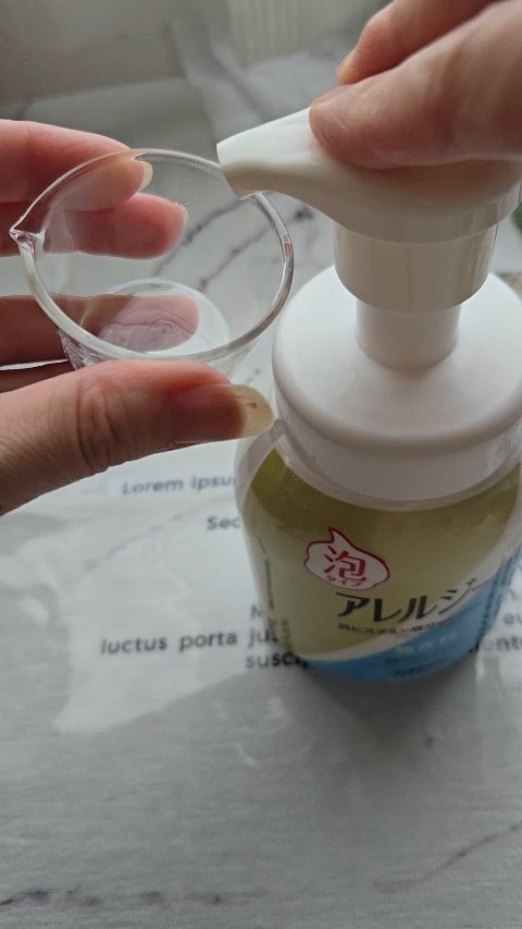 アレルジーナ 抗ヒスタミン成分配合 泡ボディソープ/マックス/ボディソープの動画クチコミ2つ目