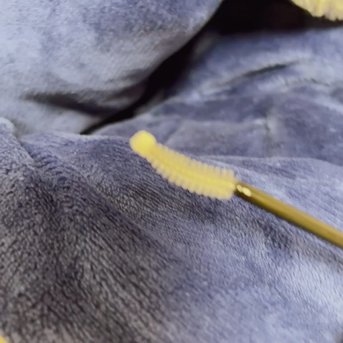 ロングアクティブアイラッシュセラム/COSNORI/まつげ美容液を使ったクチコミ（3枚目）