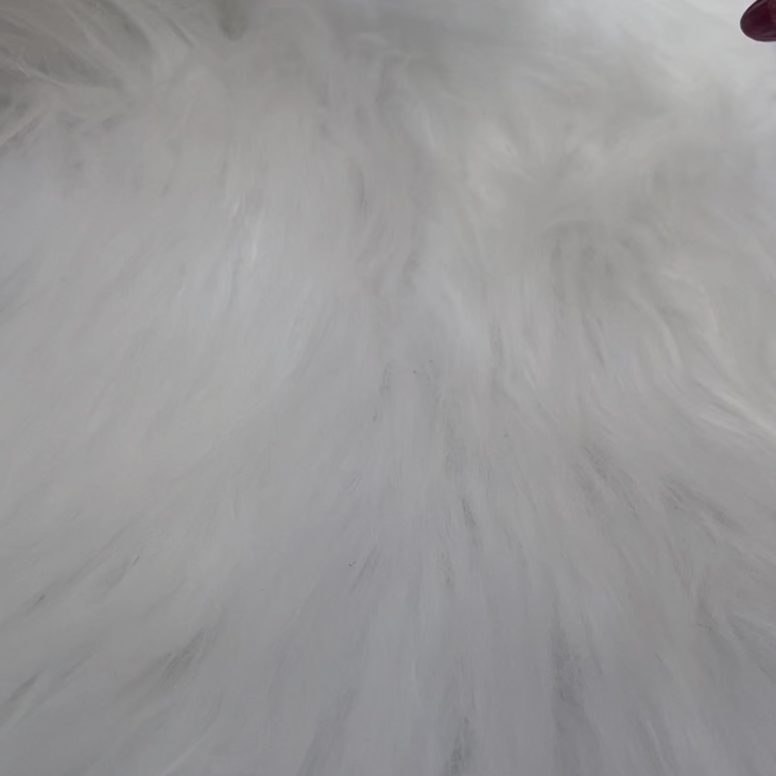 マットエステヴェール　クッション/Macchia Label/クッションファンデーションの動画クチコミ5つ目