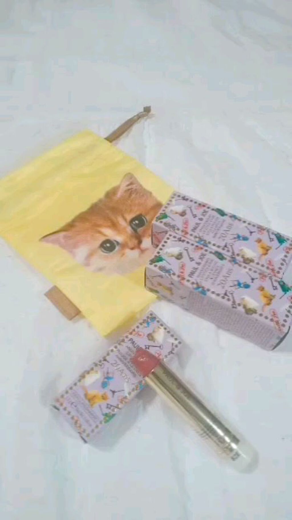 アニバーサリー リップスティック/PAUL & JOE BEAUTE/口紅の動画クチコミ3つ目