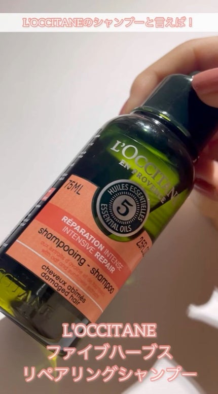 ファイブハーブスリペアリングシャンプー/コンディショナー/L'OCCITANE/シャンプー・コンディショナーの人気ショート動画