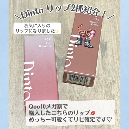 ブラーグロイリップティント/Dinto/リップティントの人気ショート動画