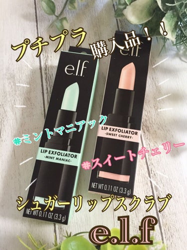 リップエクスフォリエーター/e.l.f. Cosmetics/リップケア・リップクリームを使ったクチコミ（1枚目）