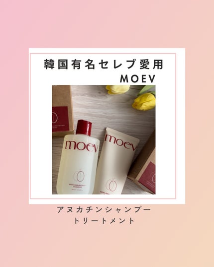 モエブ アヌカチン シャンプー/トリートメント/moev/市販シャンプーの人気ショート動画