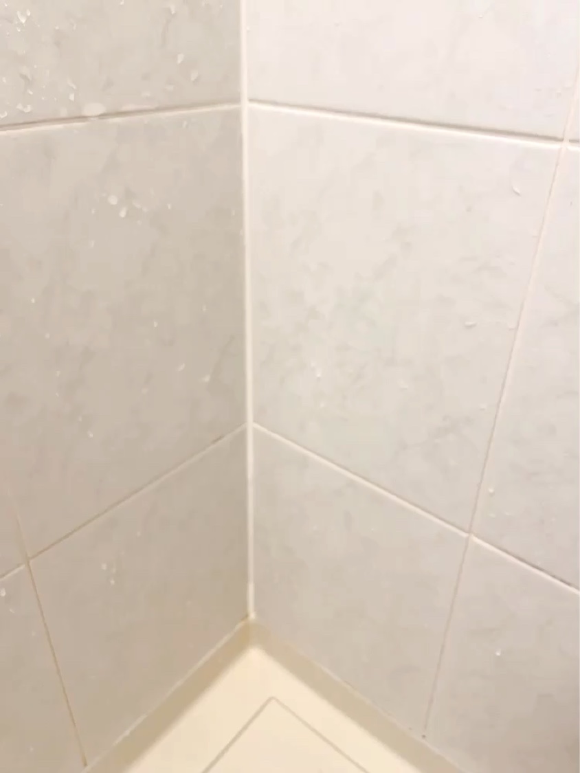 Mol clear Pro/ホコニコ/その他を使ったクチコミ（3枚目）