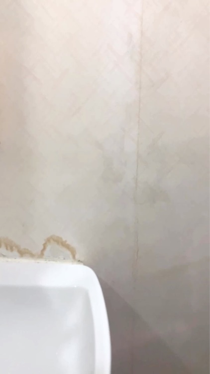 プロテクティブ UVエッセンス/excel/日焼け止めローションの動画クチコミ2つ目