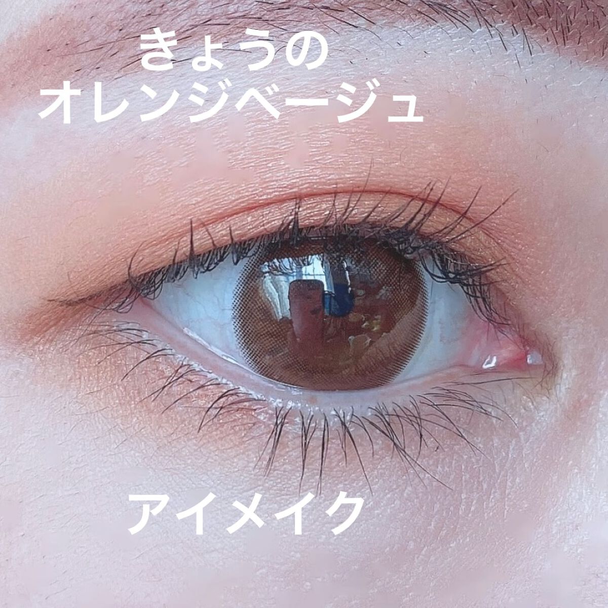 ラッシュエキスパンダー ロングロングロング EX/MAJOLICA MAJORCA/マスカラの人気ショート動画