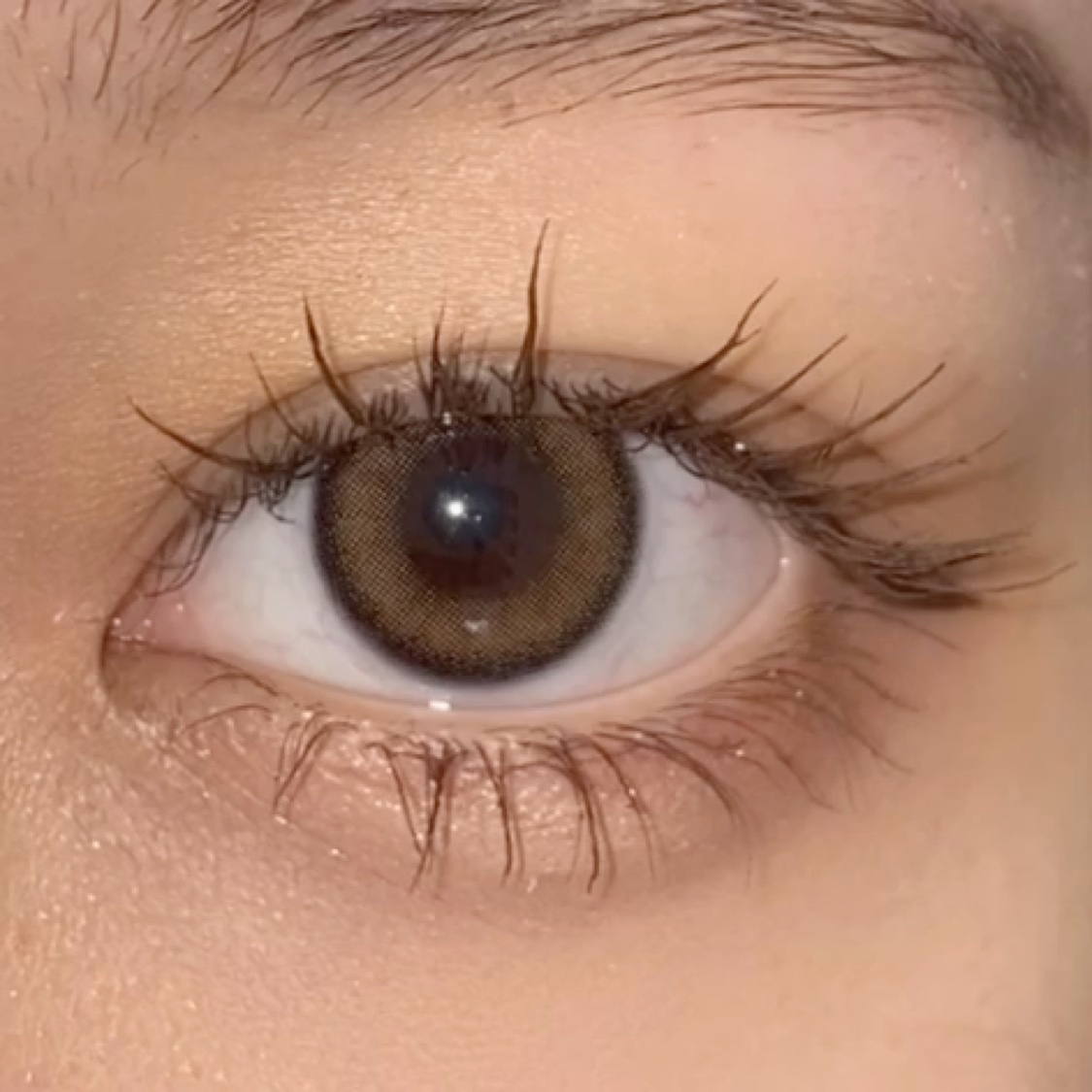 ViVi Ring 1day/OLENS/ワンデー（１DAY）カラコンの動画クチコミ4つ目