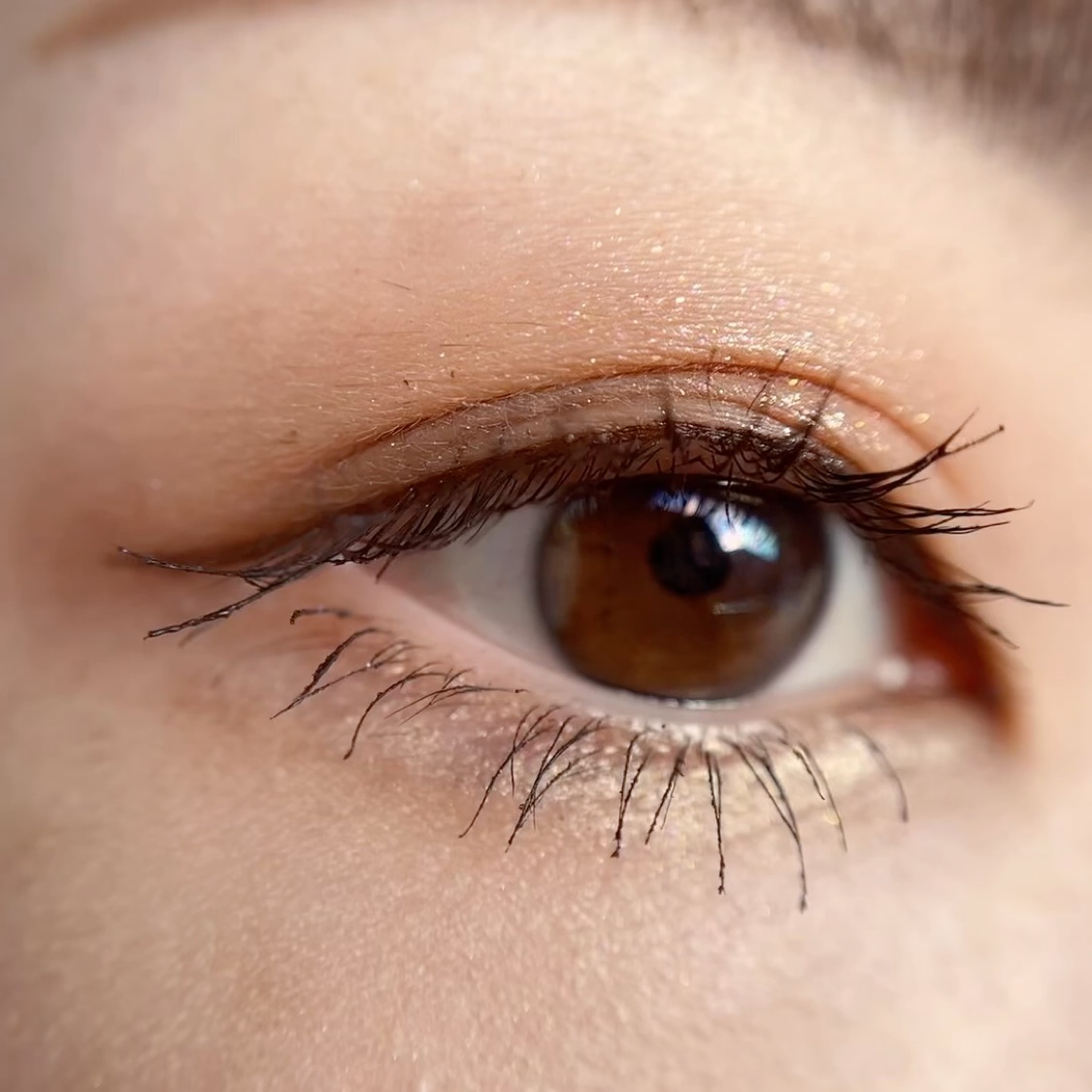 プロ アイ パレット エアー/CLIO/アイシャドウパレットを使ったクチコミ（3枚目）