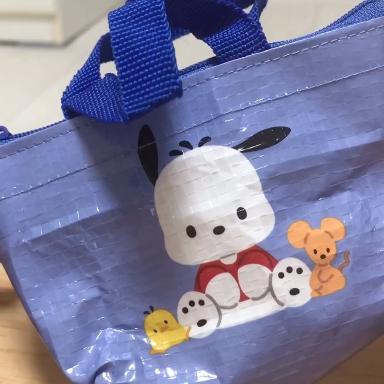 マイクロバッグチャーム/セリア/化粧ポーチの動画クチコミ1つ目