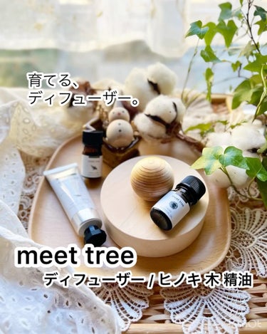 育てるディフューザーに夢中です🦚ˎˊ˗
【meet tree  ディフューザー/ヒノキ 木 精油】

こちら、日本3銘木である木曽桧の産地
岐阜県中津川市で100年続く老舗材木会社から
誕生したコスメの