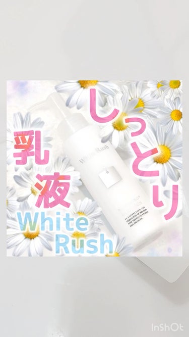 WHITENING EMULSION（美白乳液）/White Rush/乳液の人気ショート動画