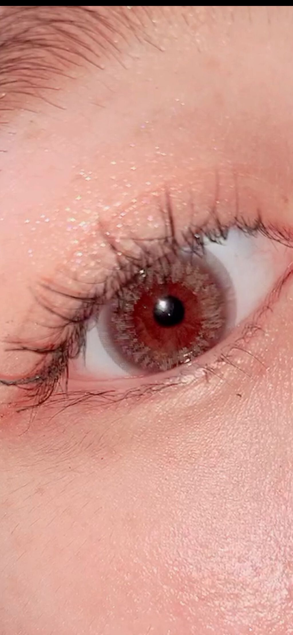 プロ アイ パレット/CLIO/アイシャドウパレットを使ったクチコミ（1枚目）