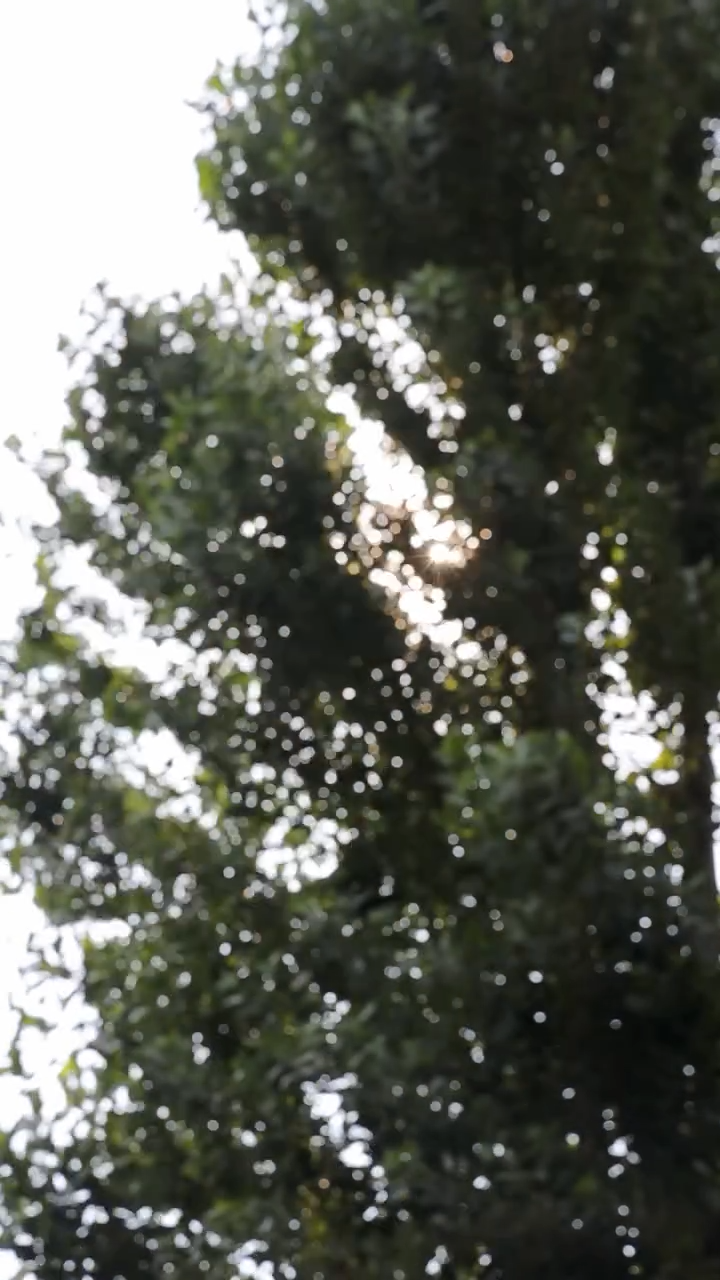 ナウアンドダン リフレッシュヘアシャンプー/カプセルイントリートメント/now & than（ナウアンドダン）/市販シャンプーの動画クチコミ3つ目