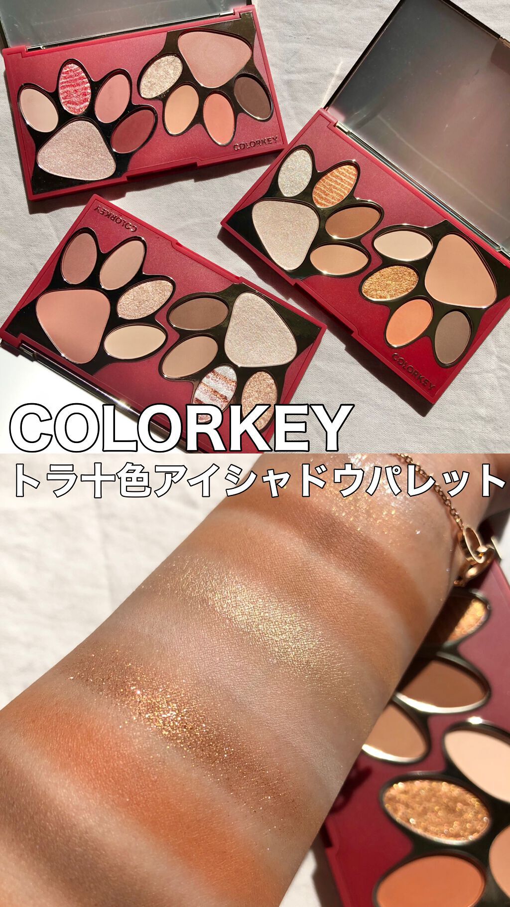 トラ十色アイシャドウパレット/COLORKEY/アイシャドウパレットを使ったクチコミ（1枚目）