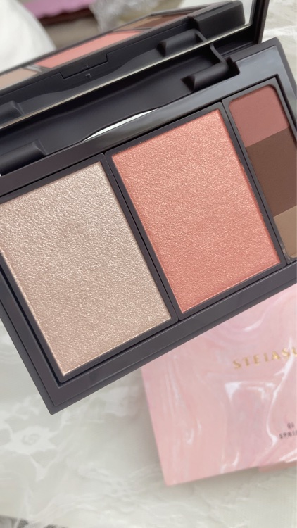 フィット my カラーパレット/STEIASUR（ステイアシュール）/マルチパレットを使ったクチコミ（2枚目）