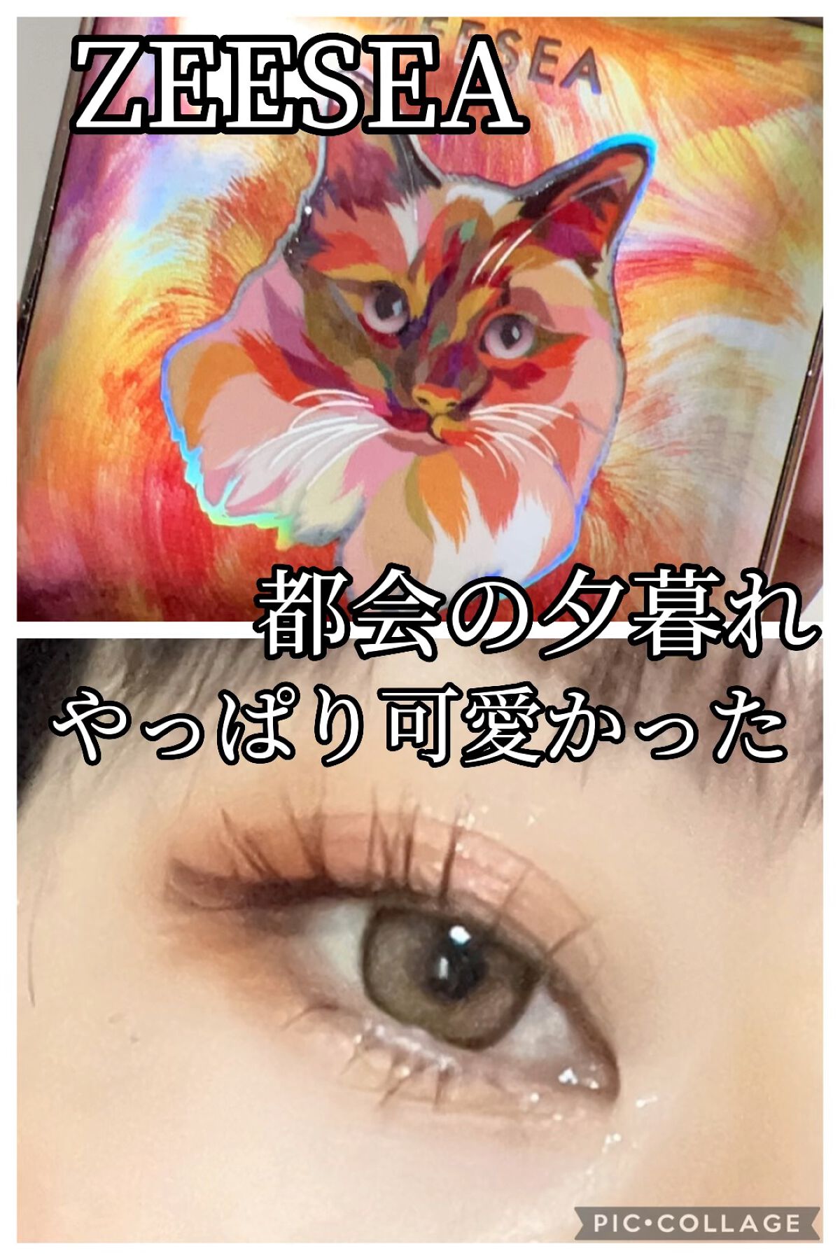 アニマルアイシャドウ(4シェード)/ZEESEA/アイシャドウパレットの動画クチコミ1つ目