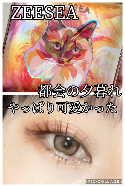 アニマルアイシャドウ(4シェード)/ZEESEA/アイシャドウパレットの人気ショート動画