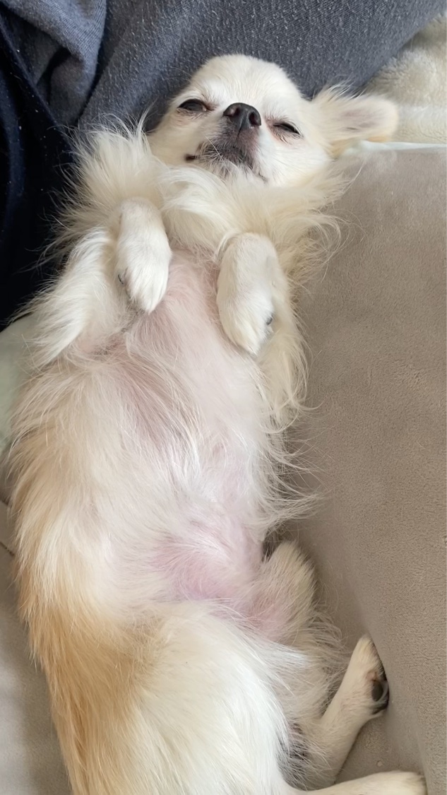 Glossier cherry balm dotcom/Glossier./リップケアを使ったクチコミ（3枚目）