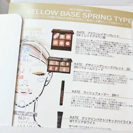 KATE 魂コレクション ブラウンレイヤーパレット/KATE/アイシャドウパレットの人気ショート動画