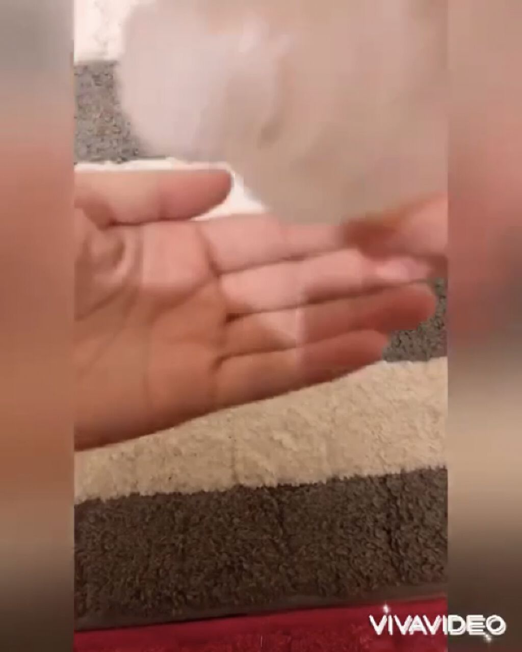 ローズ ソフトナー/FEMMUE/ブースター・導入液を使ったクチコミ（3枚目）