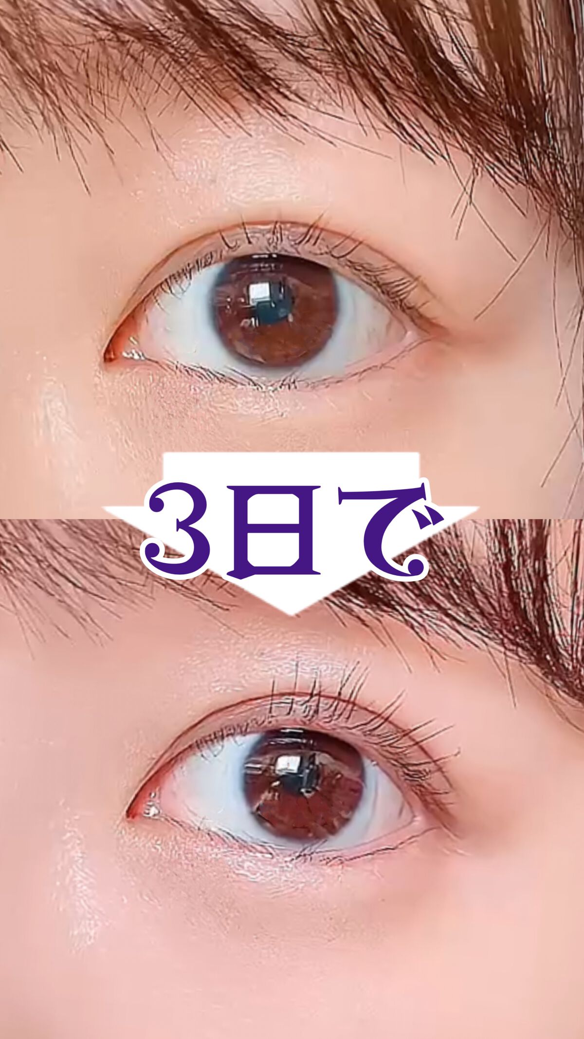 マジックティント/MAJOLICA MAJORCA/マスカラの人気ショート動画