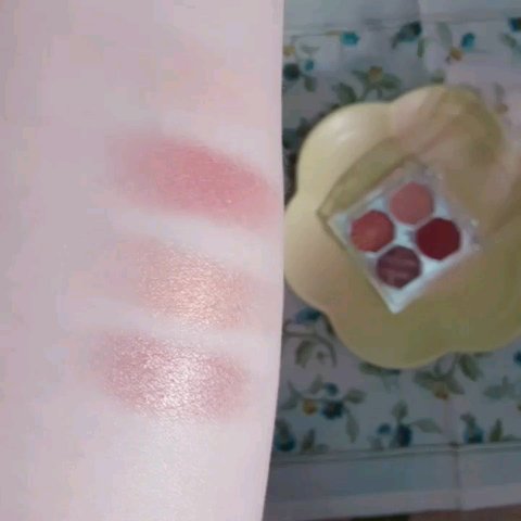 アイシャドウパレット/Colorina Pro-Artist/アイシャドウパレットの動画クチコミ1つ目