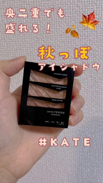 パーツリサイズシャドウ/KATE/アイシャドウパレットの人気ショート動画