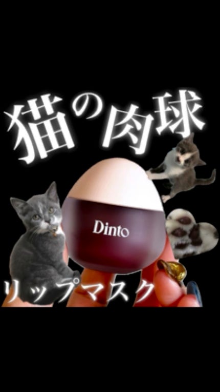 チャビもちゼリーパウパウリップマスク/Dinto/リップマスクの人気ショート動画