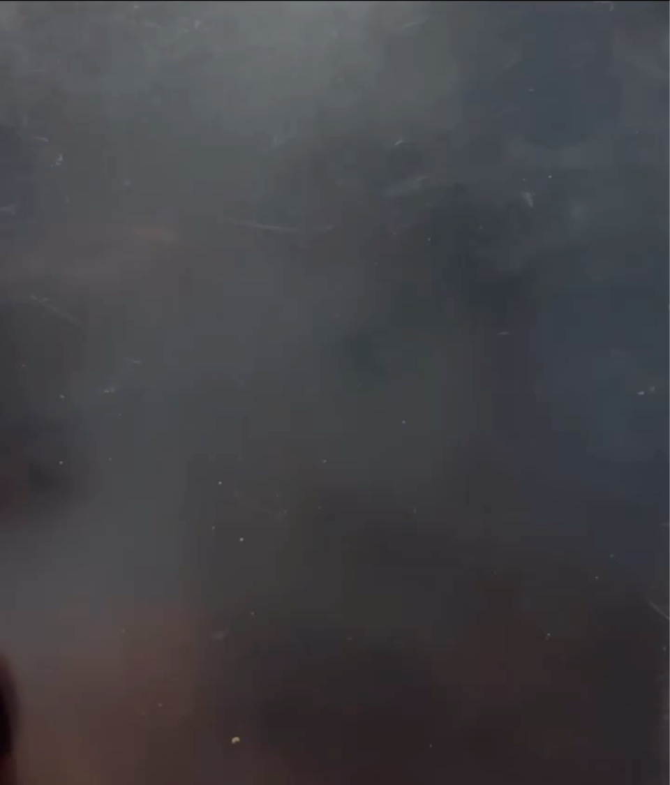 パヒュームヘア＆ボディミスト コットンブルーメロウティー/TEABLESS/ヘアミストの動画クチコミ4つ目