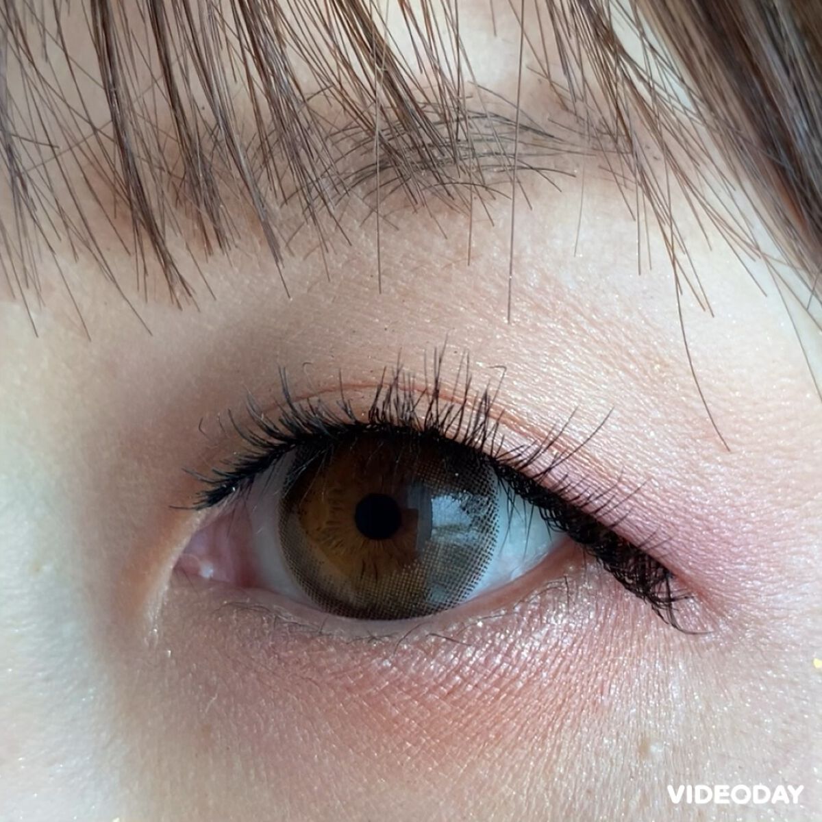 ReVIA 1day/ReVIA/ワンデー（１DAY）カラコンを使ったクチコミ（1枚目）