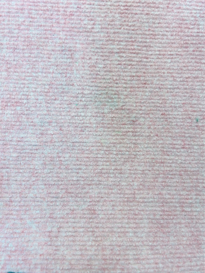 温感ヘッドスパトリートメント/TRICORE/頭皮トリートメントを使ったクチコミ（3枚目）