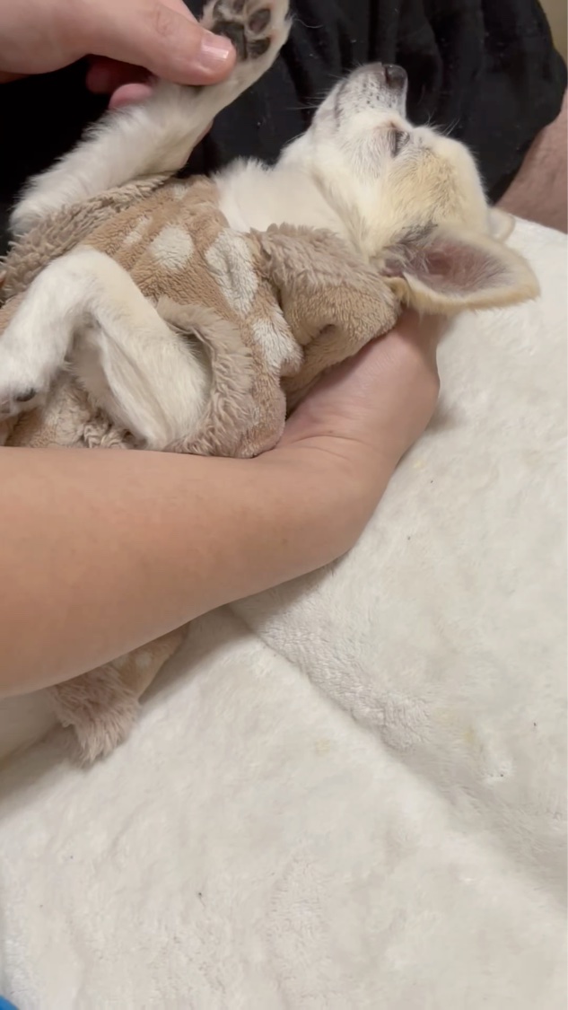 ルージュ ディオール バーム/Dior/リップバームの動画クチコミ5つ目