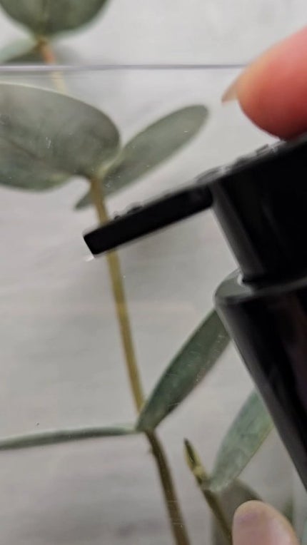 ブラックバンブーフリッズフリーヘアオイル/haruharu wonder/ヘアオイルの人気ショート動画