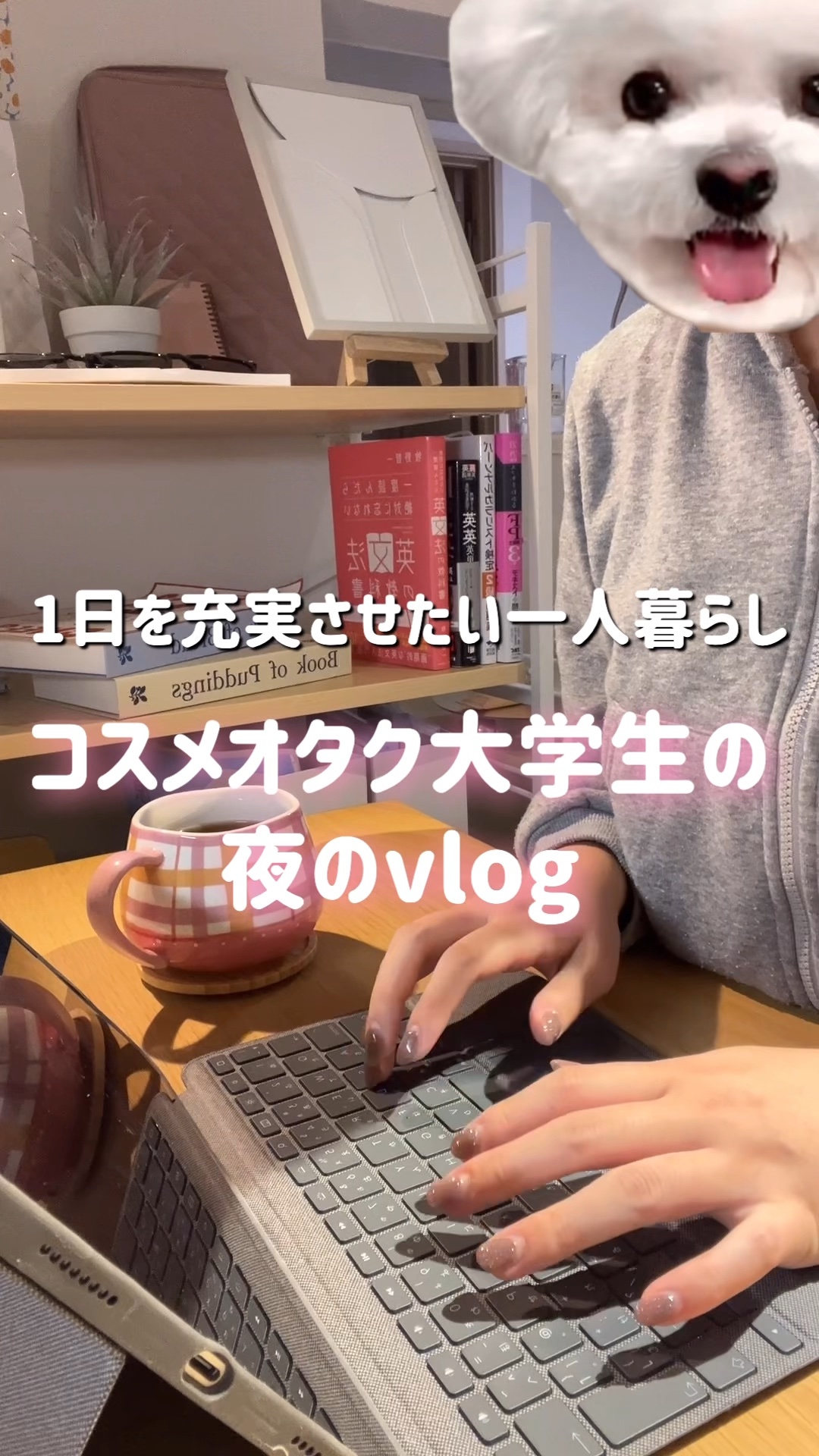 センテラ ライトクレンジングオイル/SKIN1004/オイルクレンジングの人気ショート動画