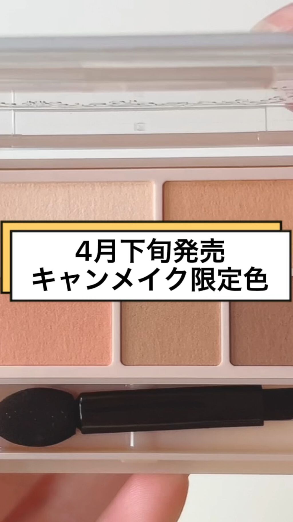 パーフェクトマルチアイズ/キャンメイク/アイシャドウパレットの動画クチコミ4つ目