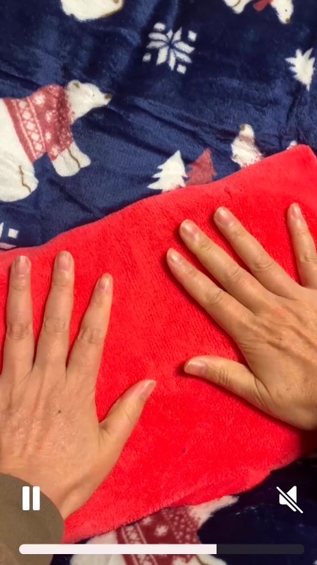 レンジでゆたぽん/白元アース/その他の動画クチコミ1つ目