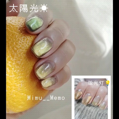 アニマルマグネットジェル/ネイル工房/ジェルネイルの動画クチコミ3つ目