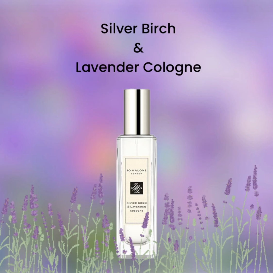 Jo Malone シルバーバーチu0026ラベンダーコロン フレグランス 100ml Jo Malone シルバーバーチ\u0026ラベンダー コロン 30ml Jo Malone Silver