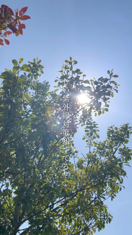 明治Wのスキンケアヨーグルト/明治/飲むヨーグルトの人気ショート動画