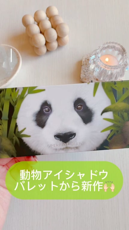 エクスプローラ12色 動物アイシャドウパレット/PERFECT DIARY/アイシャドウパレットの人気ショート動画