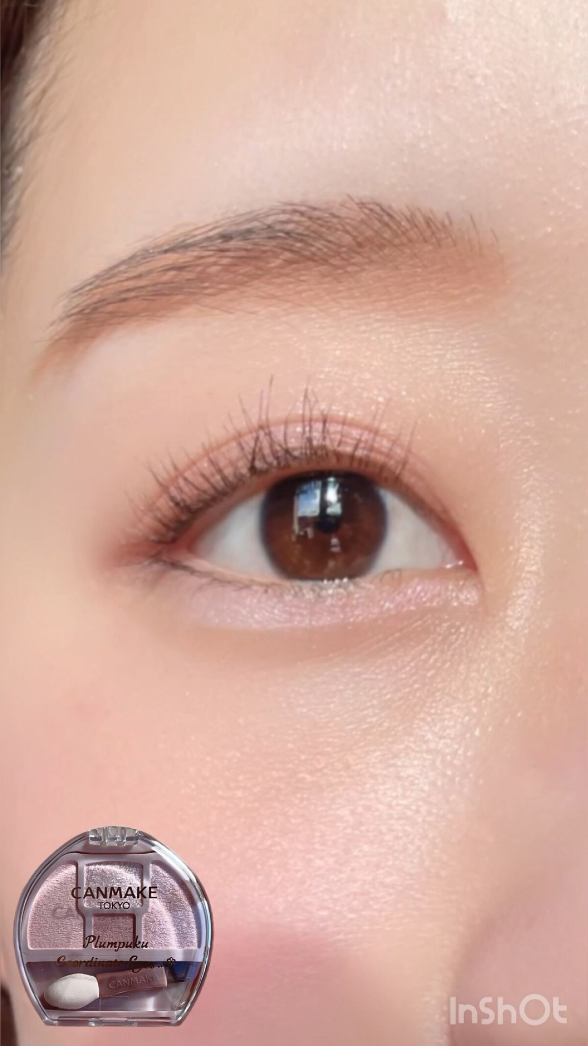 プランぷくコーデアイズ/キャンメイク/パウダーアイシャドウを使ったクチコミ（1枚目）