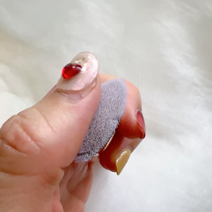 超密着カバーデュオ/THE TOOL LAB/メイクアップキットを使ったクチコミ（3枚目）