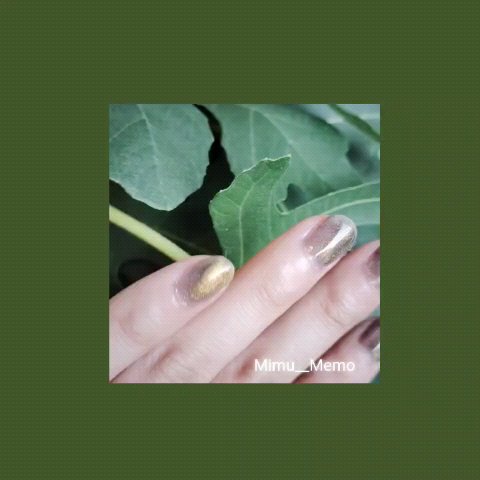 アニマルマグネットジェル/ネイル工房/ジェルネイルを使ったクチコミ（1枚目）