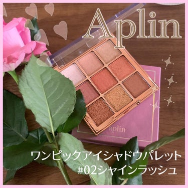 ワンピックアイシャドウパレット/APLIN/パウダーアイシャドウを使ったクチコミ（1枚目）