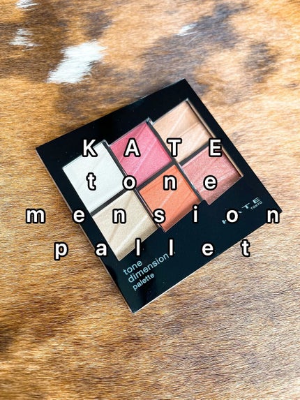 トーンディメンショナルパレット/KATE/メイクアップキットを使ったクチコミ(1枚目)