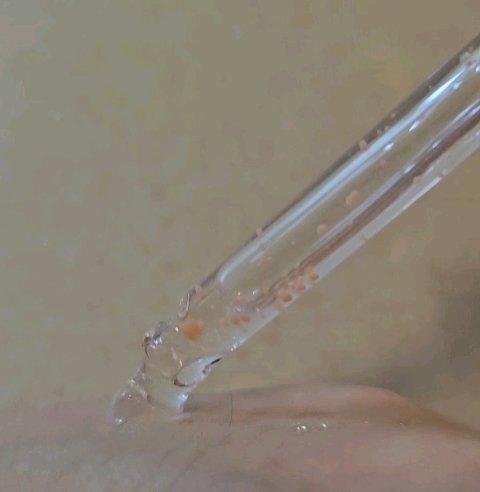 グルタチオンソームダークスポットセラムビタドロップ/Abib /美容液を使ったクチコミ（3枚目）