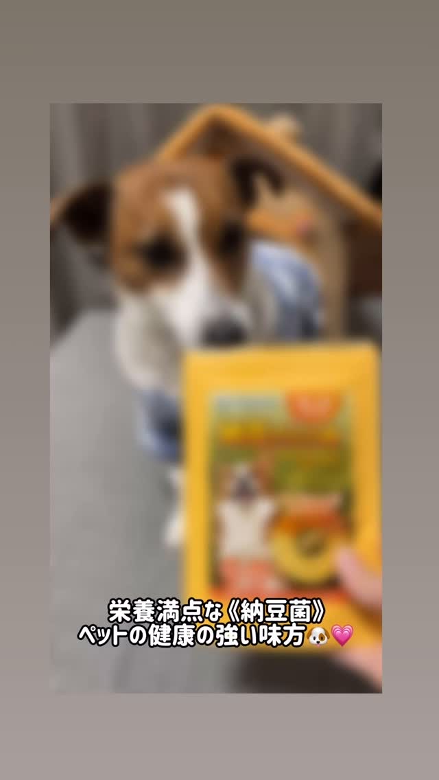 納豆さらら姫/angels_gift55/バランス栄養食を使ったクチコミ（1枚目）