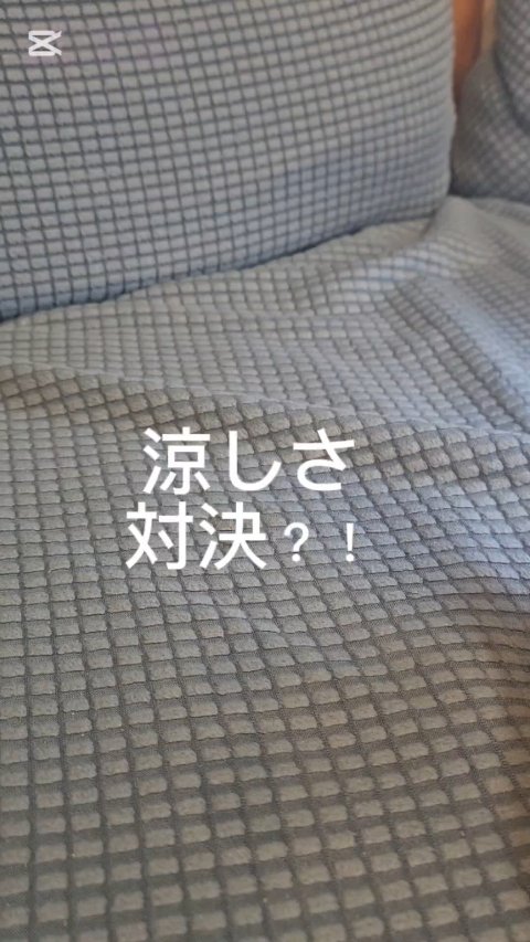 リフレッシング デイケアミスト ハーバルスプラッシュの香り/est/ミスト状化粧水の動画クチコミ1つ目